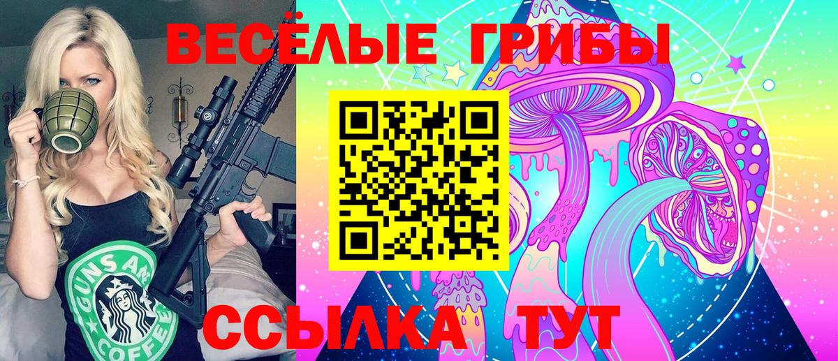 Благовещенск  Галлюциногенные грибы Psilocybe  Вход с VPN 